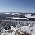 Estel Bärenstein